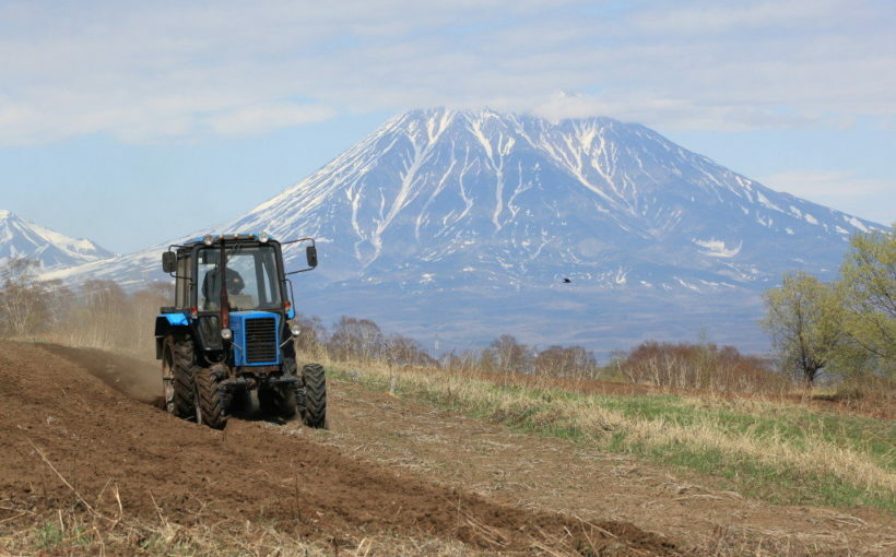 На Камчатке определены первые получатели гранта «Агростартап»